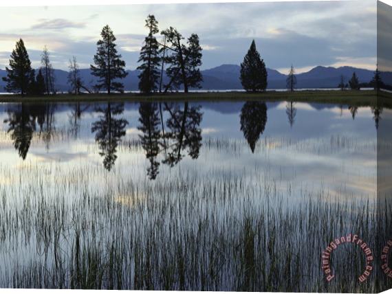 Raymond Gehman Yellowstone Lake at Dawn Yellowstone National Park Wyoming Stretched Canvas Print / Canvas Art