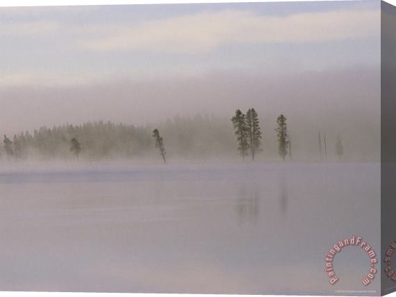Raymond Gehman Yellowstone River in Dawn Mist Stretched Canvas Print / Canvas Art