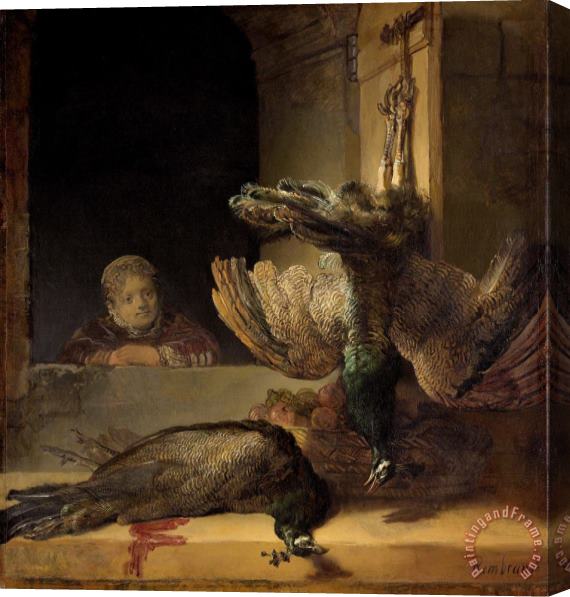 Rembrandt Dead Peacocks Stretched Canvas Painting / Canvas Art