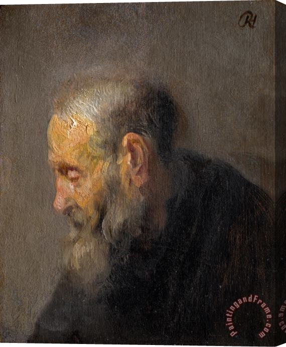 Rembrandt Harmensz van Rijn Study of an Old Man in Profile Stretched Canvas Print / Canvas Art