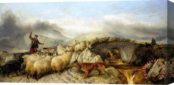Richard Ansdell Collecting The Sheep for Clipping in The Highlands Stretched Canvas Print / Canvas Art