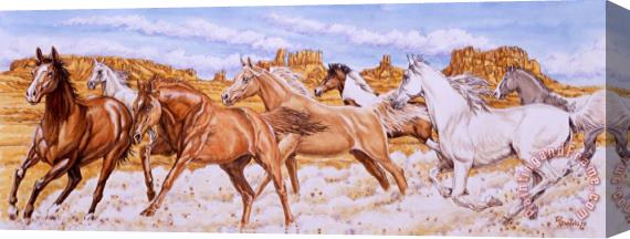 Richard De Wolfe Desert Run Stretched Canvas Print / Canvas Art