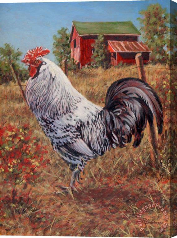 Richard De Wolfe Silver Laced Rock Rooster Stretched Canvas Print / Canvas Art