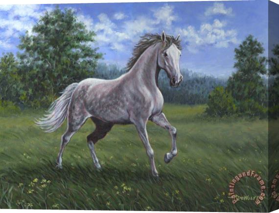 Richard De Wolfe Wind Song Stretched Canvas Painting / Canvas Art