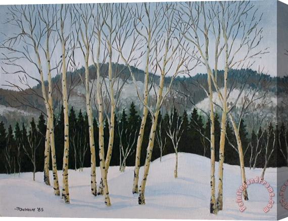 Richard De Wolfe Winter Poplars Stretched Canvas Painting / Canvas Art