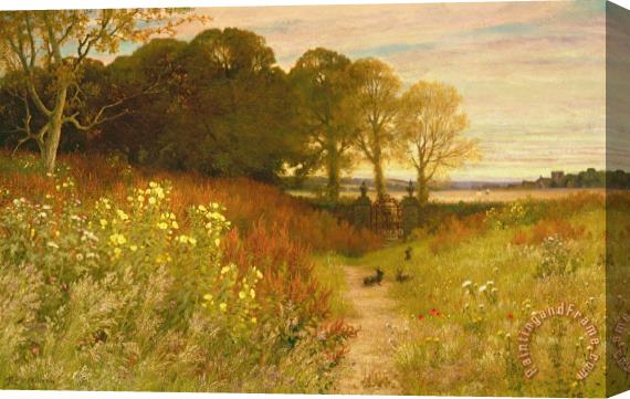 Robert Collinson Landscape with Wild Flowers and Rabbits Stretched Canvas Painting / Canvas Art