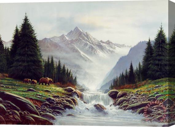 Robert Foster Bear Mountain Stretched Canvas Print / Canvas Art