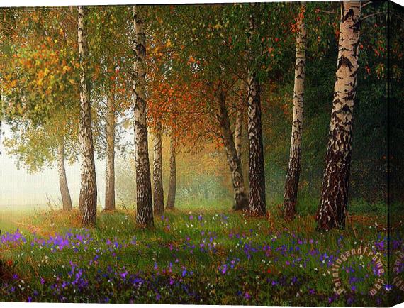 Robert Foster Birch Meadow Stretched Canvas Painting / Canvas Art