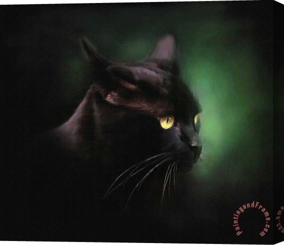 Robert Foster Black Cat Stretched Canvas Painting / Canvas Art