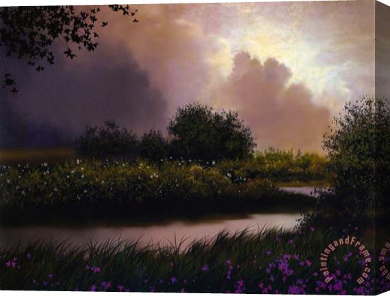Robert Foster Flower Creek Stretched Canvas Print / Canvas Art