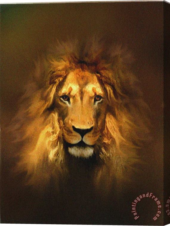 Robert Foster Golden King Stretched Canvas Painting / Canvas Art