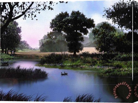 Robert Foster Goose pond Stretched Canvas Painting / Canvas Art