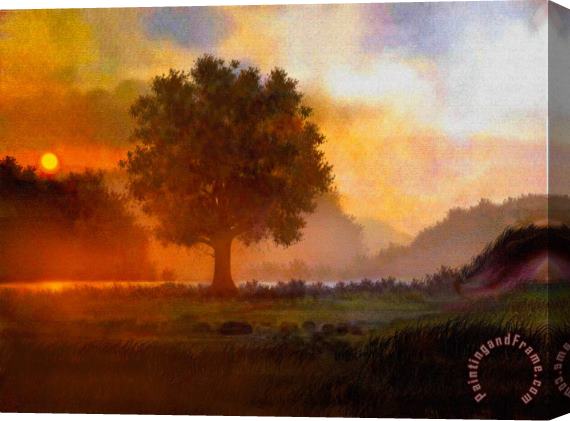 Robert Foster Lone Tree Stretched Canvas Print / Canvas Art