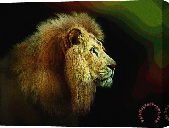 Robert Foster Profile of the King Stretched Canvas Print / Canvas Art