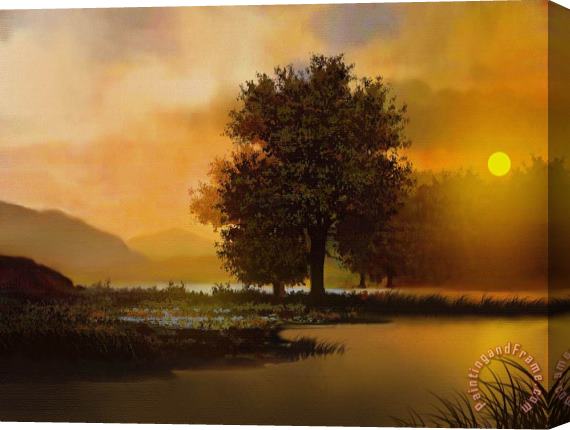 Robert Foster River Tree Stretched Canvas Painting / Canvas Art