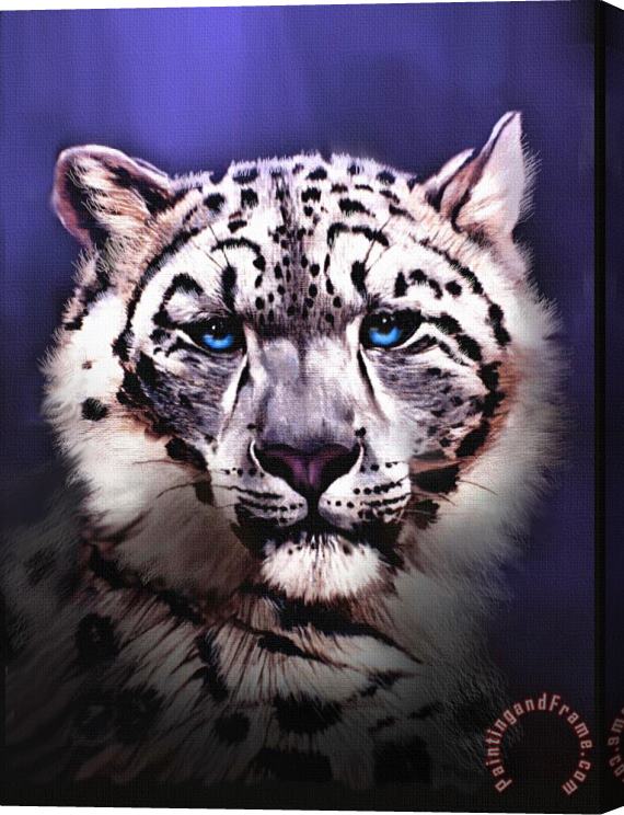 Robert Foster Snow Leopard Stretched Canvas Painting / Canvas Art