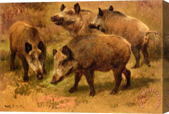 Rosa Bonheur Four Boars in a Landscape Stretched Canvas Print / Canvas Art