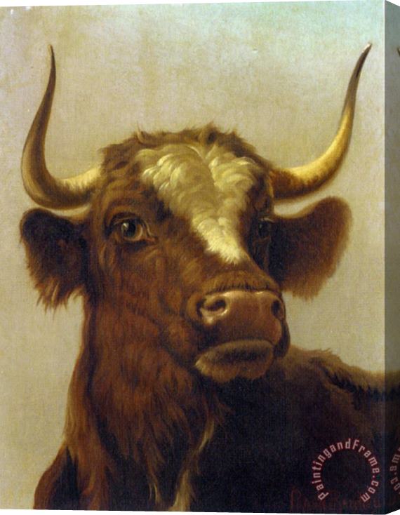 Rosa Bonheur Head of a Bull Stretched Canvas Painting / Canvas Art