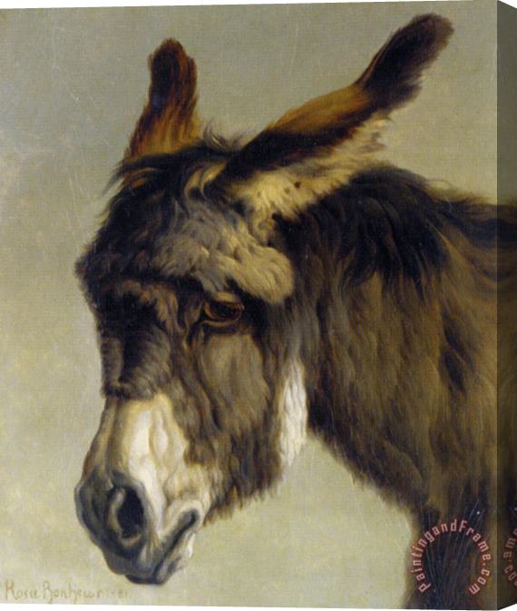 Rosa Bonheur Head of a Donkey Stretched Canvas Painting / Canvas Art