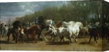 Stretched Canvas Print