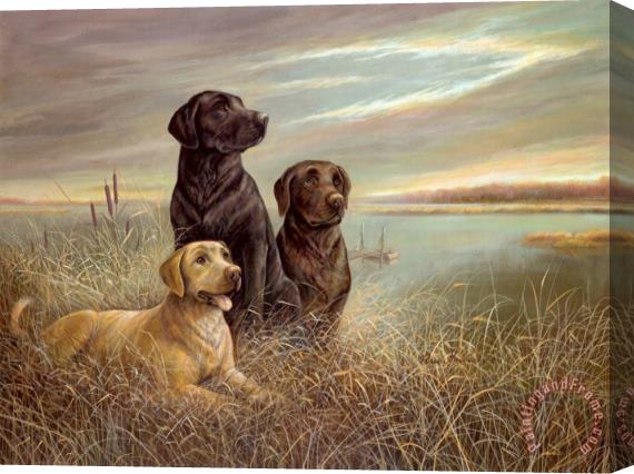 Ruane Manning All Grown Up on Grassy Sound Stretched Canvas Painting / Canvas Art