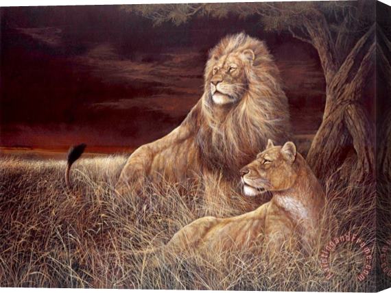 Ruane Manning Winds of The Serengeti Stretched Canvas Painting / Canvas Art