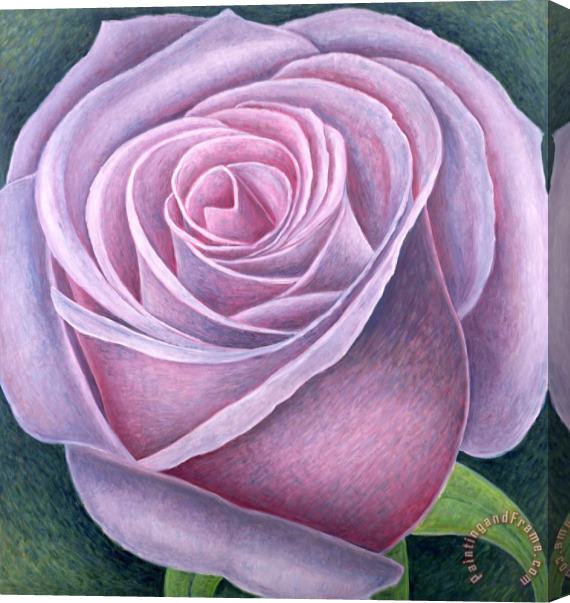 Ruth Addinall Big Rose Stretched Canvas Print / Canvas Art