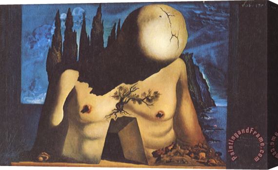Salvador Dali Design for Set Curtain for Labyrinth I Stretched Canvas Painting / Canvas Art