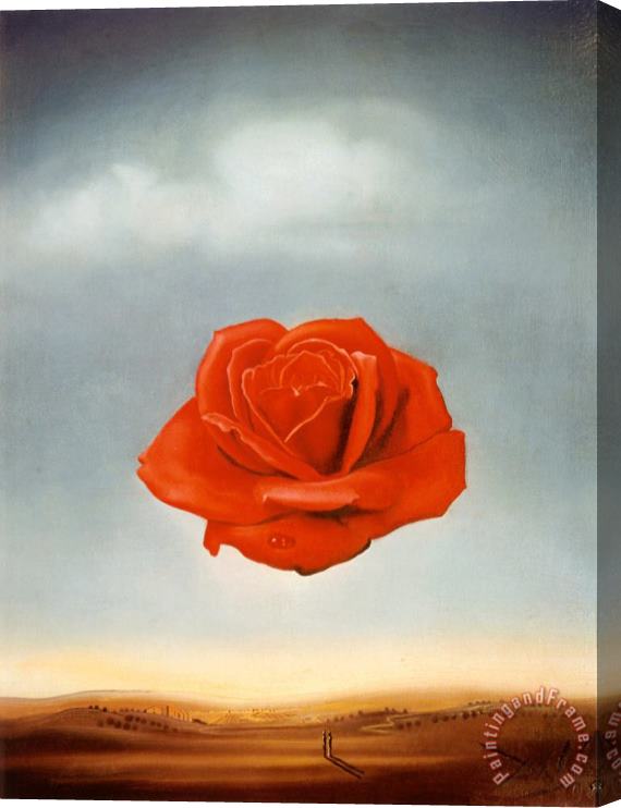 Salvador Dali Meditative Rose Stretched Canvas Painting / Canvas Art