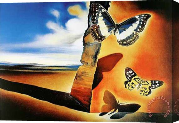 Salvador Dali Paysage Aux Papillons Stretched Canvas Print / Canvas Art