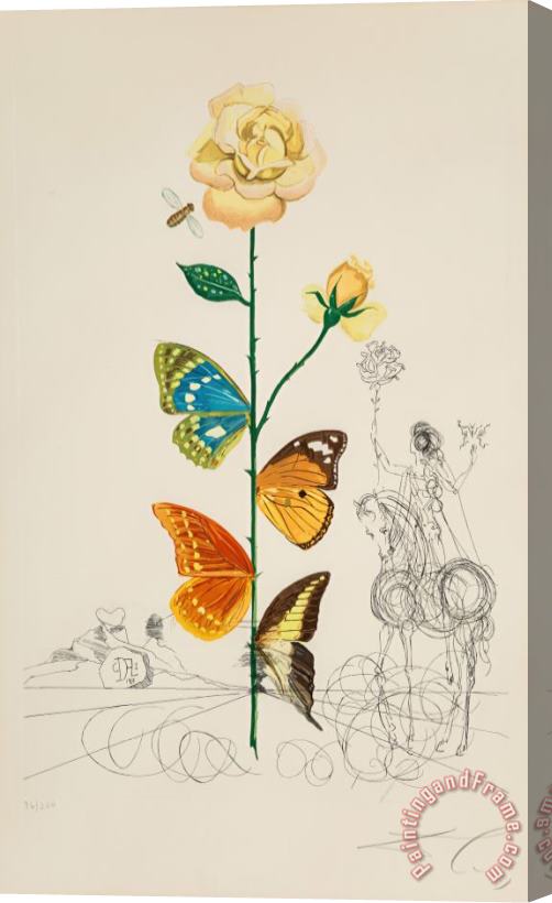 Salvador Dali Rosa Papillo, From Flora Dallinae, 1968 Stretched Canvas Painting / Canvas Art