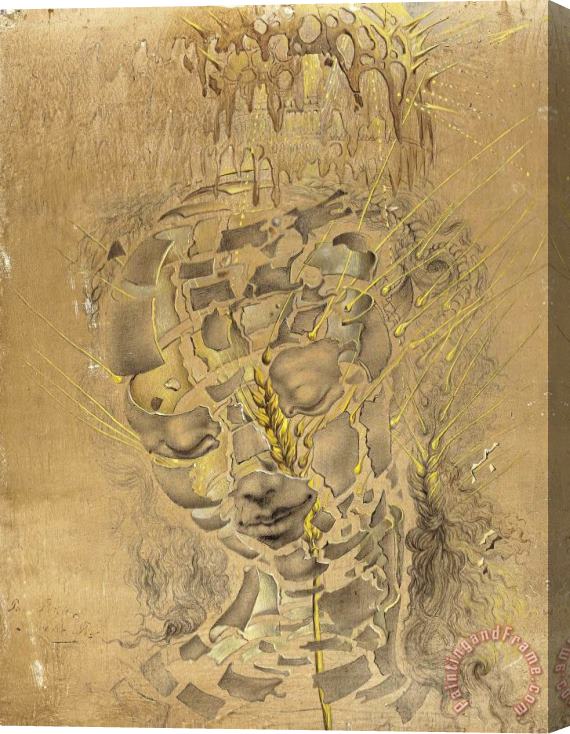 Salvador Dali Study for The Head of The Virgin Stretched Canvas Print / Canvas Art