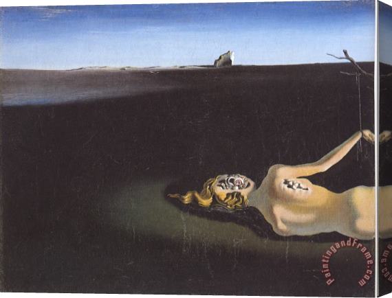 Salvador Dali Woman Sleeping in a Landscape Stretched Canvas Painting / Canvas Art
