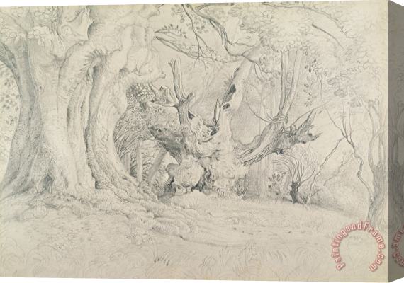 Samuel Palmer Ancient Trees Lullingstone Park Stretched Canvas Print / Canvas Art
