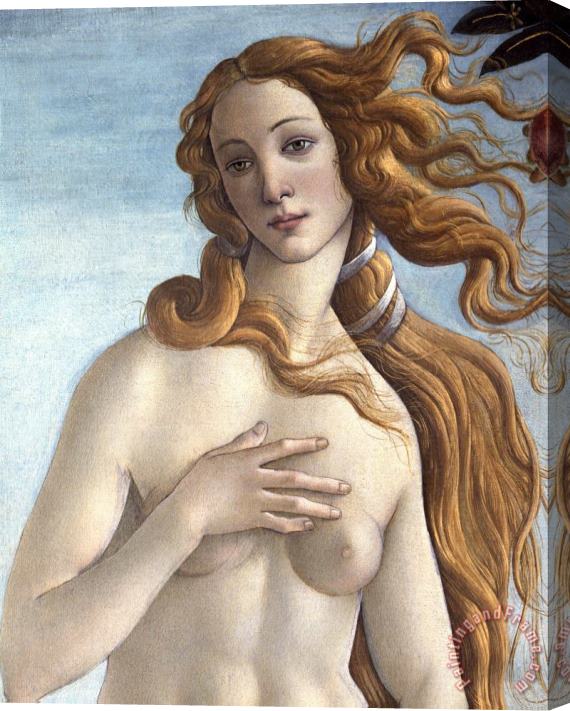 Sandro Botticelli The Birth of Venus Stretched Canvas Print / Canvas Art
