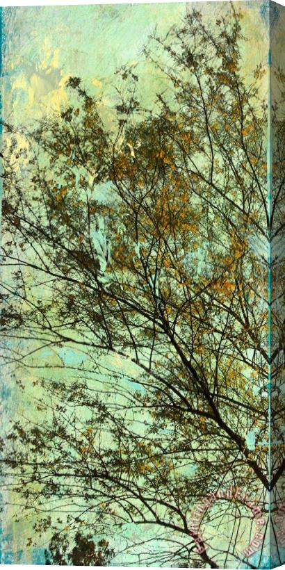 Sara Abbott Abstracted Trees III Stretched Canvas Painting / Canvas Art