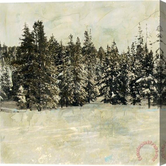 Sara Abbott Snow Trees I Stretched Canvas Painting / Canvas Art