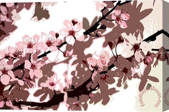 Sarah O Toole Japanese Blossom Stretched Canvas Print / Canvas Art