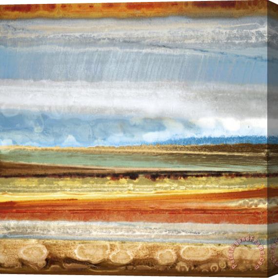 Selina Rodriguez Earth Layers II Stretched Canvas Print / Canvas Art