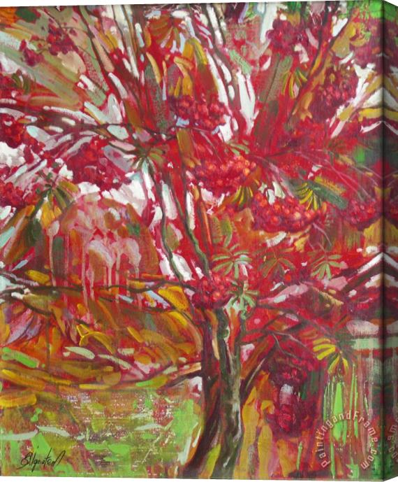 Sergey Ignatenko Rowan tree Stretched Canvas Print / Canvas Art