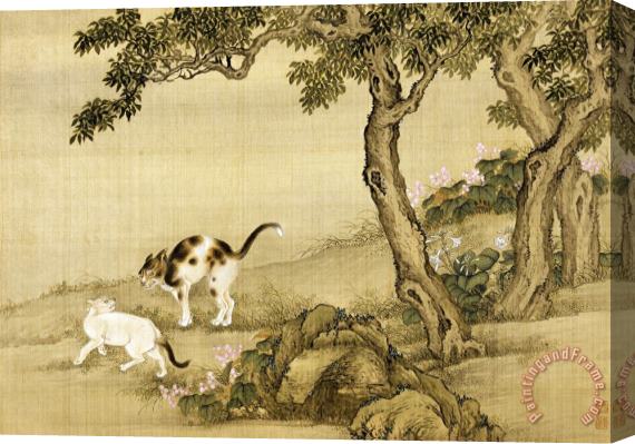 Shen Nanpin Album of Birds And Animals (cats) Stretched Canvas Print / Canvas Art