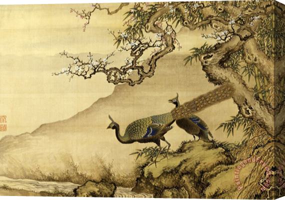 Shen Nanpin Album of Birds And Animals (peacocks) Stretched Canvas Print / Canvas Art