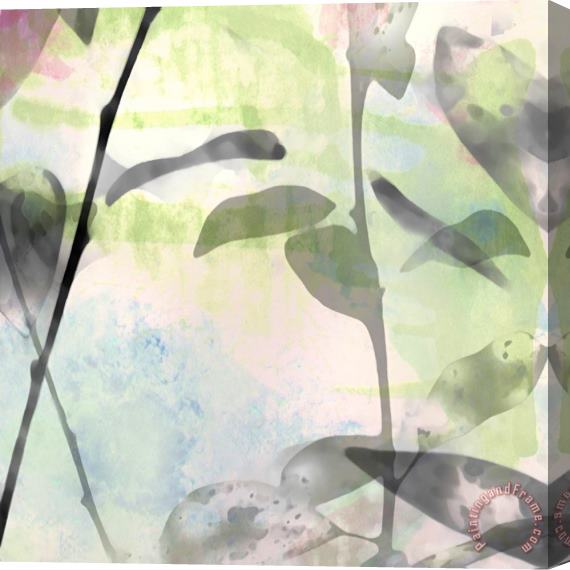 Sia Aryai Leaves I Stretched Canvas Print / Canvas Art