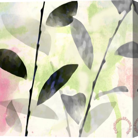 Sia Aryai Leaves II Stretched Canvas Print / Canvas Art