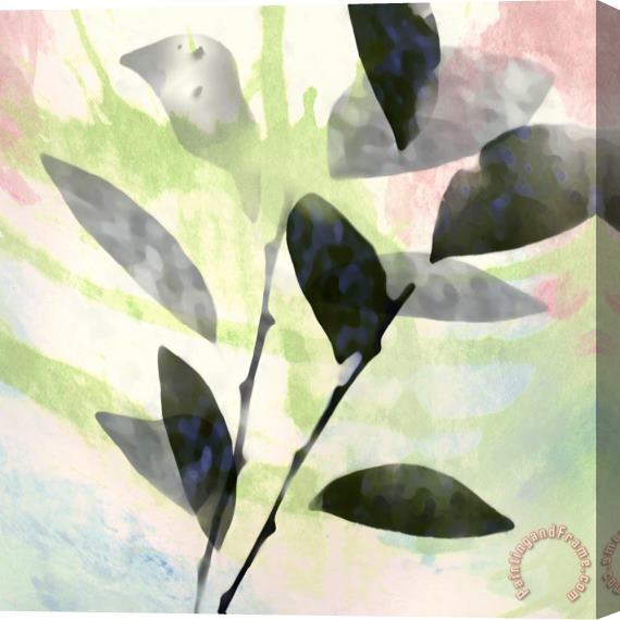 Sia Aryai Leaves III Stretched Canvas Print / Canvas Art