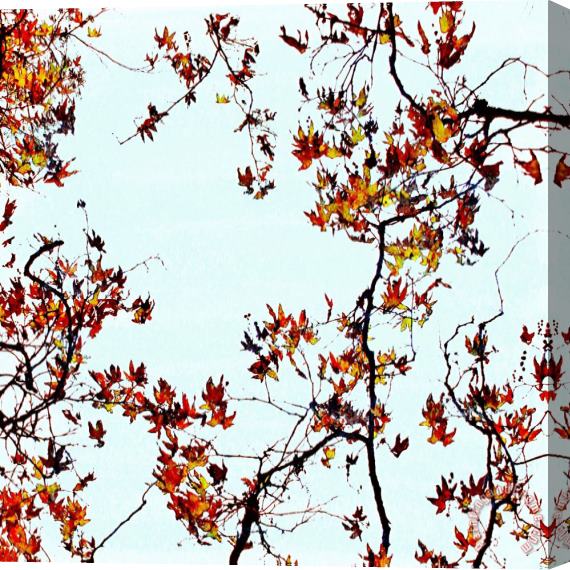Sia Aryai November I Stretched Canvas Print / Canvas Art