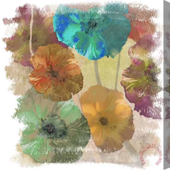 Sia Aryai Poppy Dreams III Stretched Canvas Print / Canvas Art
