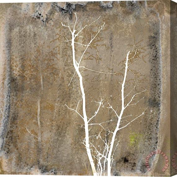Sia Aryai Tranquility I Stretched Canvas Print / Canvas Art