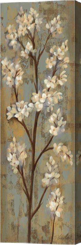 Silvia Vassileva Almond Branch I Stretched Canvas Painting / Canvas Art
