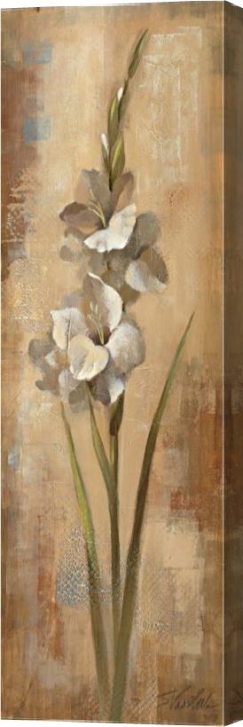 Silvia Vassileva Floral Grace I Stretched Canvas Print / Canvas Art